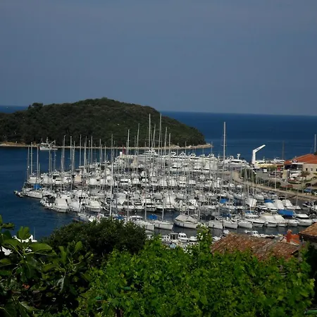 Degrassi Square (adults Only) Appartement