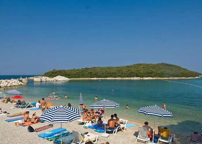 Degrassi Square (adults Only) 브르사르